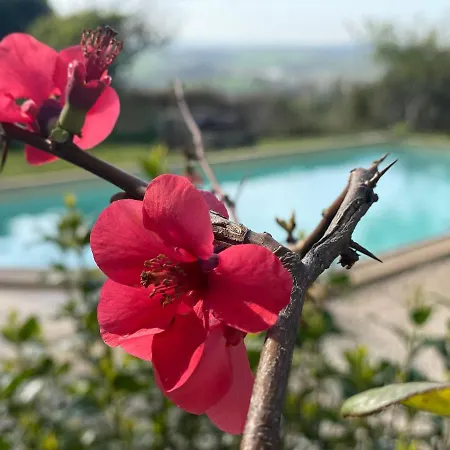 Le Barry, South France, Avec Piscine Montpezat-de-Quercy